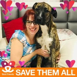 Meet your Posher, Barbara